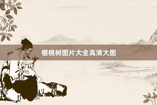 樱桃树图片大全高清大图